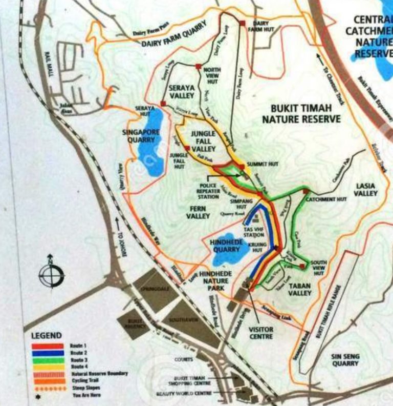 Bukit Timah Nature Reserve Singapore - Your Complete Guide